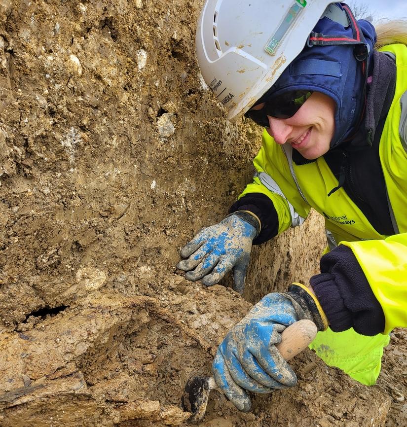 An archaeologist excavating in a ditch