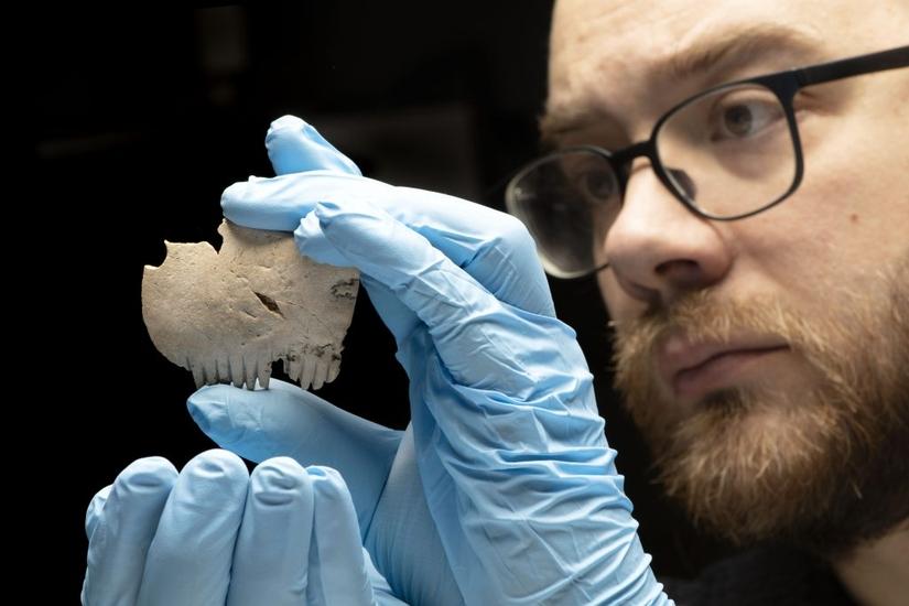 A specialist examines the bone comb