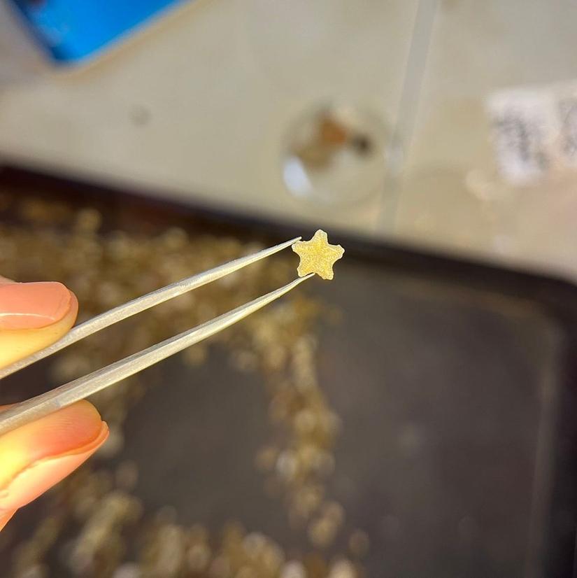 tiny starlike fossil