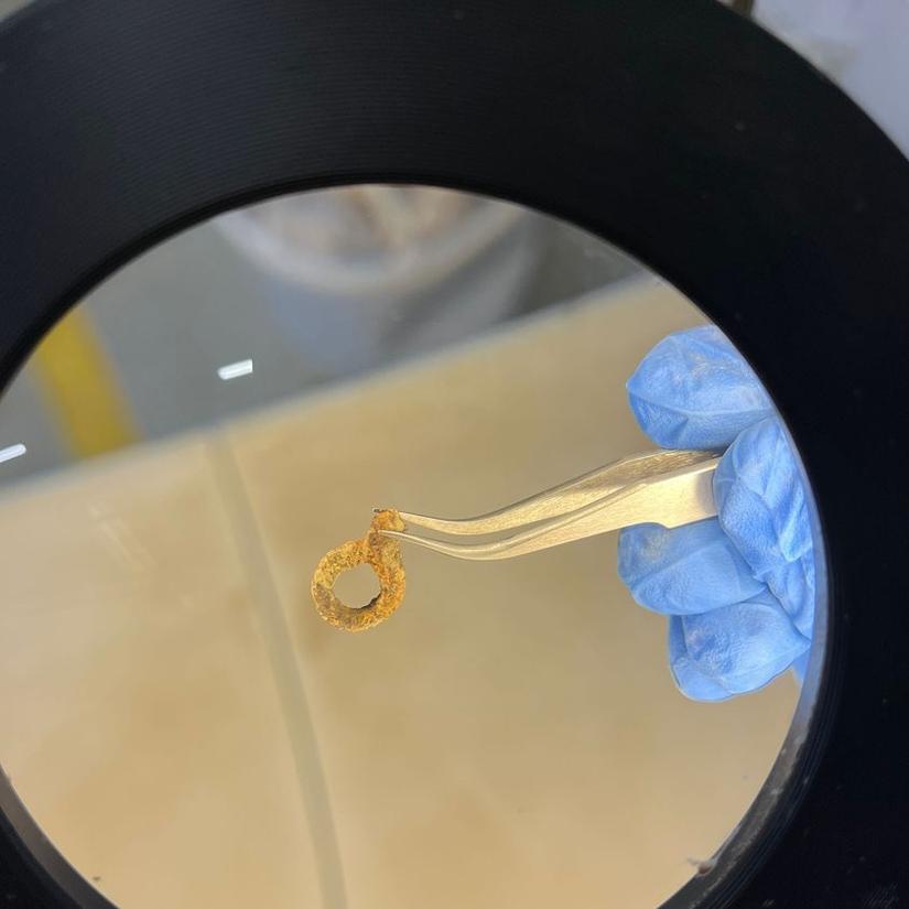 wire loop held with tweezers