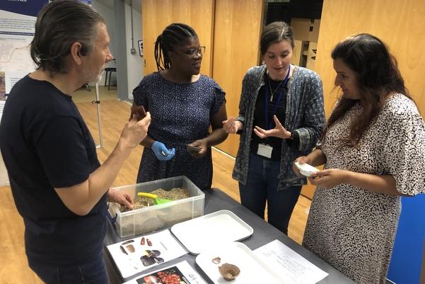 Four people standing round a table having a discussion. On the table is a box and some sheets with images on them. Two of the people are holding archaeological objects.